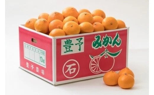 【訳あり・優品】野菜ソムリエ石児さんの「せとか 10kg」 ミカン みかん 蜜柑 柑橘 10kg 柑橘類 せとか 訳あり フルーツ 2月 3月 先行予約 ＜103-014＞