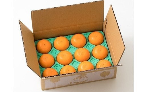 【訳あり・優品】野菜ソムリエ石児さんの「せとか 2.5kg」  ミカン みかん 蜜柑 柑橘 2.5kg 柑橘類 せとか 訳あり フルーツ 2月 3月 先行予約 ＜103-012＞