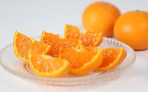 南津海[なつみ] 4kg ／ ミカン みかん 蜜柑 柑橘類 南津海 4kg 先行予約 フルーツ ＜132-009＞