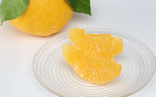 屋根掛けデコポン 約3kg（化粧箱入） ／ ミカン みかん 蜜柑 柑橘類 デコポン 不知火 3kg 屋根掛け 先行予約 フルーツ ＜132-006＞