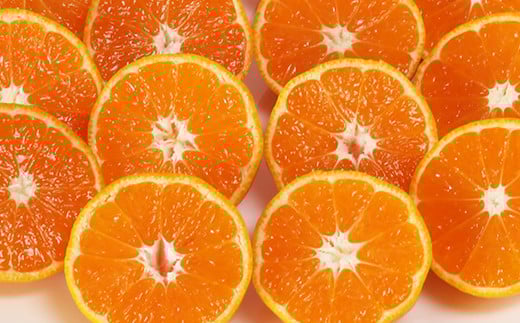 【12月24日決済分まで年内発送】野菜ソムリエ石児さんの「特選 温州みかん 5kg」 ミカン みかん 蜜柑 柑橘 5kg 柑橘類 甘い 温州みかん フルーツ 年内配送 年内発送 12月発送 12月配送 12月 ＜103-006＞