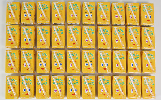 果汁100％ 紙パック みかんジュース 125ml×40本＜131-010＞