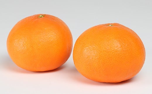 ハウス美娘 約2.5kg（化粧箱入） ／ ミカン みかん 蜜柑 柑橘類 美娘 オレンジ 2.5kg 先行予約 甘い フルーツ ＜132-002＞