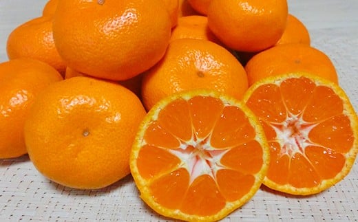 高糖系温州みかん 木戸農園の青島 約5kg （秀品） 先行予約 果物 柑橘類 フルーツ ＜113-019＞