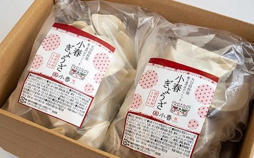 2種類のぎょうざ+かぼすポン酢 [杵築堪能セット] 杵築市 セット ＜801-003＞