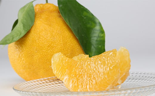 ハウスデコポン 約3kg（化粧箱入） ／ みかん ミカン 蜜柑 柑橘類 デコポン 不知火 3kg 先行予約 フルーツ ＜132-003＞