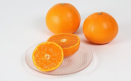 岩尾農園の温室栽培せとか 特選 約3kg 先行予約 果物 柑橘類 みかん ミカン ＜066-004_5＞