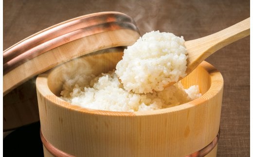 【 令和7年産米 】山香ゆうきの会の米 10kg（精米：なつほのか） 10kg 米 ＜002-011＞