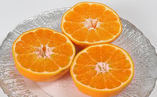 【訳あり・規格外品】野菜ソムリエ石児さんの「はるみ 5kg」 ミカン みかん 蜜柑 柑橘 5kg 柑橘類 はるみ 訳あり フルーツ 先行予約 ＜103-011＞