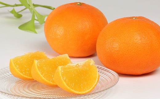 ハウス美娘 約2.5kg &ハウスデコポン 約3kgセット（化粧箱入） ／ みかん ミカン 蜜柑 柑橘類 デコポン 不知火 美娘 先行予約 フルーツ ＜132-004＞