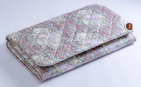 電位･温熱組合せ家庭用医療機器 リラックスクラブSE デンケン＜127-002_5＞