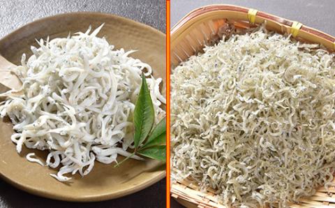 国産添加物不使用！別府湾えびとしらすの全種お試しセット 小分け 国産 海鮮丼 しらす シラス ちりめん ちりめんじゃこ おつまみ 冷凍配送 ＜108-038_5＞