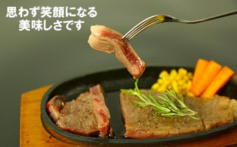 おおいた和牛ロースステーキ 計800g（200g×4枚）＜123-006_5＞