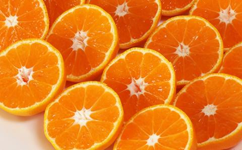 【12月21日決済分まで年内発送】【訳あり・規格外品】野菜ソムリエ石児さんの「温州みかん 10kg」 ミカン みかん 蜜柑 柑橘 10kg 柑橘類 訳あり 甘い 温州みかん フルーツ 年内配送 年内発送 12月発送 12月配送 12月 ＜103-005＞