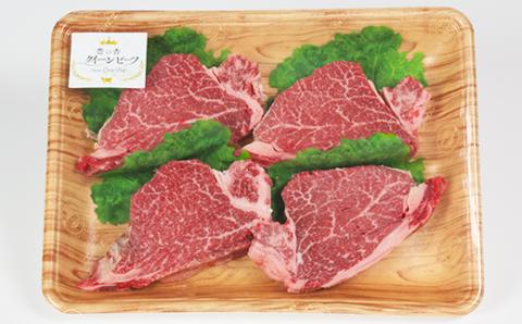 豊の香 クイーンビーフ ヒレステーキ 480g （120g×4枚）＜150-001_5＞