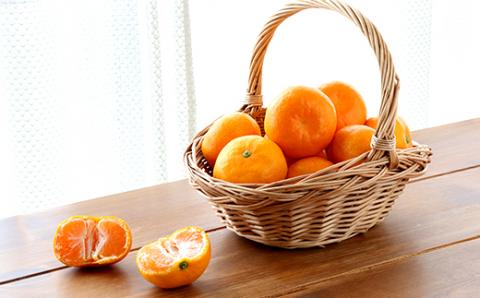 杵築産 温州みかん5kg（秀品） ／ ミカン みかん 蜜柑 柑橘類 5kg 11月 12月 1月 先行予約 温州みかん フルーツ ＜132-001＞