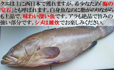 【冷凍】大分県産 高級魚くえ料理セット4人前＜104-039_5＞