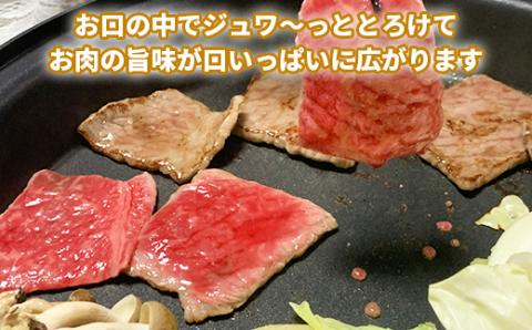 おおいた和牛もも焼肉用 600g＜123-001_5＞