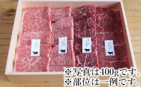 【年内配送】おおいた和牛希少部位4種焼肉食べ比べセット1.2kg（800g・400g各1箱）【匠牧場】 ＜102-013_5＞