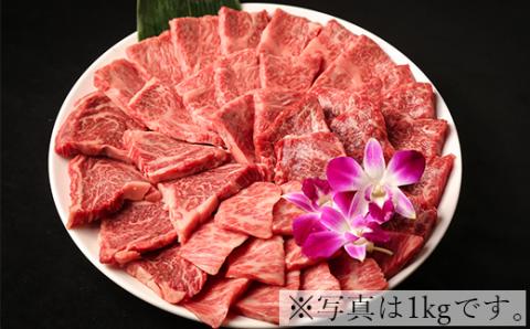 【年内配送】おおいた和牛希少部位4種焼肉食べ比べセット1.6kg（800g×2箱）【匠牧場】 ＜102-014_5＞
