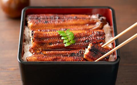 温泉うなぎ蒲焼 5尾（130gサイズ） 国産うなぎ ＜104-006_5＞