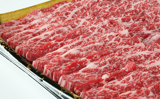 おおいた豊後牛ロース焼肉用700g ＜105-010_5＞