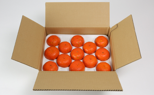 【訳あり・優品】野菜ソムリエ石児さんの「アンコール 2.5kg」 ミカン みかん 蜜柑 柑橘 訳あり 甘い 柑橘類 アンコール アンコールオレンジ フルーツ 先行予約 ＜103-018＞