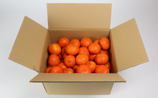 【訳あり・優品】野菜ソムリエ石児さんの「アンコール 10kg」 ミカン みかん 蜜柑 柑橘 10kg 訳あり 甘い 柑橘類 アンコール アンコールオレンジ フルーツ 先行予約 ＜103-020＞