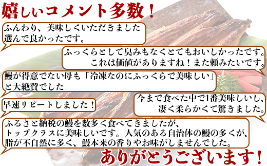 温泉うなぎ蒲焼 5尾（120gサイズ） 国産うなぎ ＜104-005_5＞