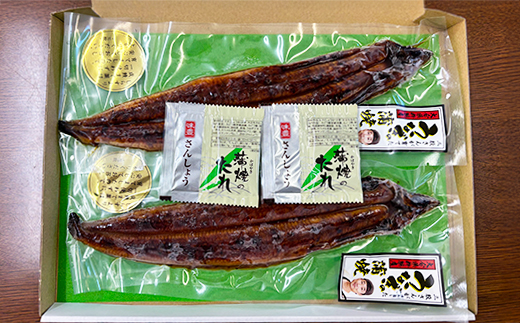 完全無投薬養殖！温泉うなぎ蒲焼 2尾（120gサイズ） 自宅用 エコ包装  ＜104-067＞