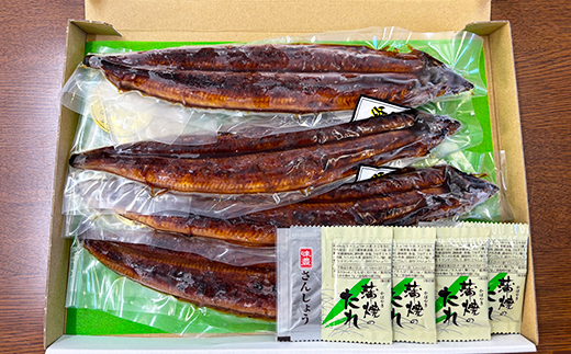 完全無投薬養殖！温泉うなぎ蒲焼 4尾（120gサイズ） 自宅用 エコ包装  ＜104-068＞