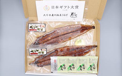 ＜定期便(毎月)全3回＞完全無投薬養殖！温泉うなぎ蒲焼 2尾（160gサイズ） 自宅用 エコ包装 年末 年内発送 ＜104-803＞