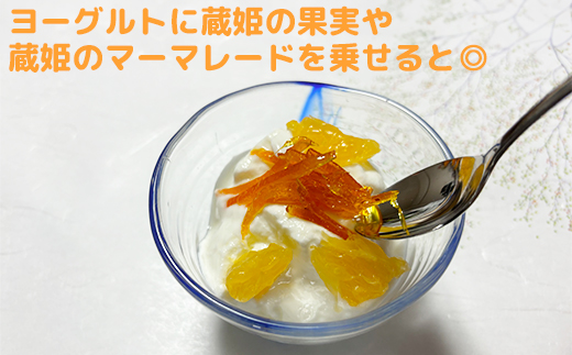 【訳あり・規格外品】今村農園の蔵姫くらひめ（紅甘夏） 約10kg フルーツ みかん 果物 先行予約 ＜107-028_7＞ 10kg