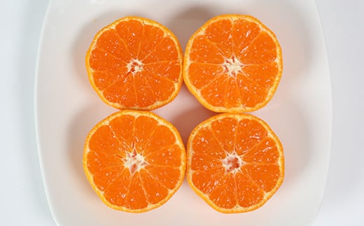 【訳あり品】オレンジ農園のハウスみかん 約2.5kg＜114-001_5＞