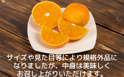 【年内発送】【訳あり・規格外品】九州のオレンジ「ハウス天草」約3～3.3kg＜114-003_5＞