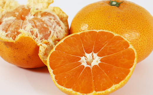 【訳あり品】森農園の温州みかん 尾崎 9kg＋傷み補償分200g ／ ミカン みかん 蜜柑 柑橘 9kg 柑橘類 訳あり フルーツ 温州みかん 12月 12月発送 12月配送 年内発送 年内配送 ＜162-001＞