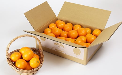 【12月24日決済分まで年内発送】野菜ソムリエ石児さんの「特選 温州みかん 5kg」 ミカン みかん 蜜柑 柑橘 5kg 柑橘類 甘い 温州みかん フルーツ 年内配送 年内発送 12月発送 12月配送 12月 ＜103-006＞