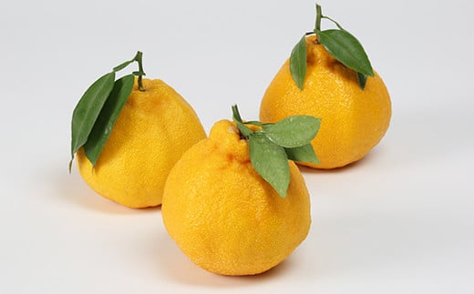 ハウスデコポン 約3kg（化粧箱入） ／ みかん ミカン 蜜柑 柑橘類 デコポン 不知火 3kg 先行予約 フルーツ ＜132-003＞