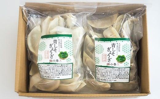 2種類のぎょうざ+かぼすポン酢 [杵築堪能セット] 杵築市 セット ＜801-003＞