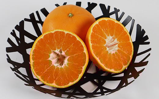 豊王（ほうおう）約3kg 化粧箱入 ／ ミカン みかん 蜜柑 柑橘類 豊王 ほうおう オレンジ 3kg 甘い フルーツ ＜132-020＞