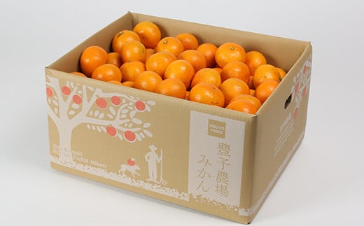 【訳あり・規格外品】野菜ソムリエ石児さんの「温州みかん 10kg」 ミカン みかん 蜜柑 柑橘 10kg 柑橘類 訳あり 甘い 温州みかん フルーツ 1月 1月発送 1月配送 ＜103-005＞