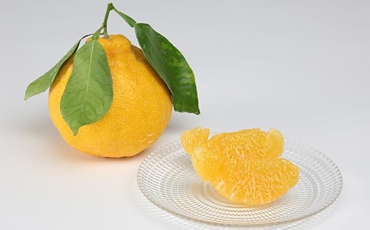 ハウス美娘 約2.5kg &ハウスデコポン 約3kgセット（化粧箱入） ／ みかん ミカン 蜜柑 柑橘類 デコポン 不知火 美娘 先行予約 フルーツ ＜132-004＞