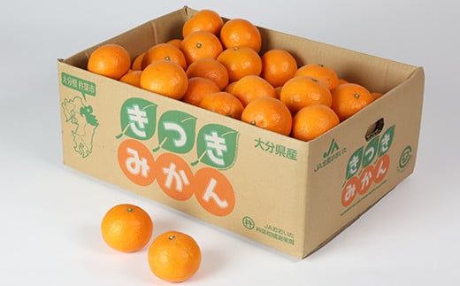 南津海[なつみ] 4kg ／ ミカン みかん 蜜柑 柑橘類 南津海 4kg 先行予約 フルーツ ＜132-009＞