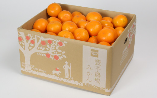 【12月24日決済分まで年内発送】野菜ソムリエ石児さんの「特選 温州みかん 10kg」 ミカン みかん 蜜柑 柑橘 10kg 柑橘類 甘い 温州みかん フルーツ 年内配送 年内発送 12月発送 12月配送 12月＜103-007＞