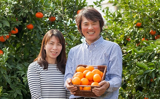 【訳あり・優品】野菜ソムリエ石児さんの「せとか 2.5kg」  ミカン みかん 蜜柑 柑橘 2.5kg 柑橘類 せとか 訳あり フルーツ 2月 3月 先行予約 ＜103-012＞