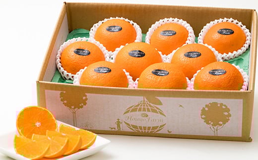 野菜ソムリエ石児さんの「特選 せとか 2.5kg」  ミカン みかん 蜜柑 柑橘 2.5kg 柑橘類 せとか フルーツ 贈答 2月 3月 先行予約 ＜103-015＞