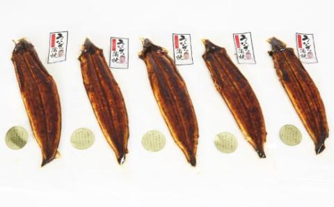 温泉うなぎ蒲焼 5尾（140gサイズ） 国産うなぎ ＜104-009_5＞