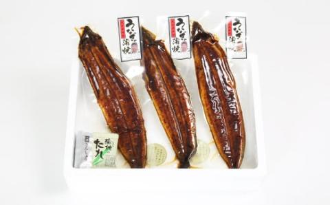 温泉うなぎ蒲焼 3尾（160gサイズ） 国産うなぎ ＜104-012_5＞