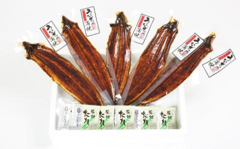 温泉うなぎ蒲焼 5尾（160gサイズ） 国産うなぎ ＜104-013_5＞