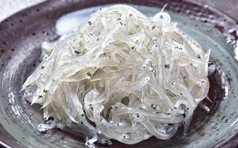 国産添加物不使用！別府湾えびとしらすの全種お試しセット 小分け 国産 海鮮丼 しらす シラス ちりめん ちりめんじゃこ おつまみ 冷凍配送 ＜108-038_5＞